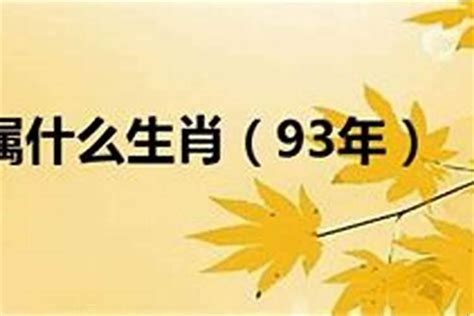 93年是什么年